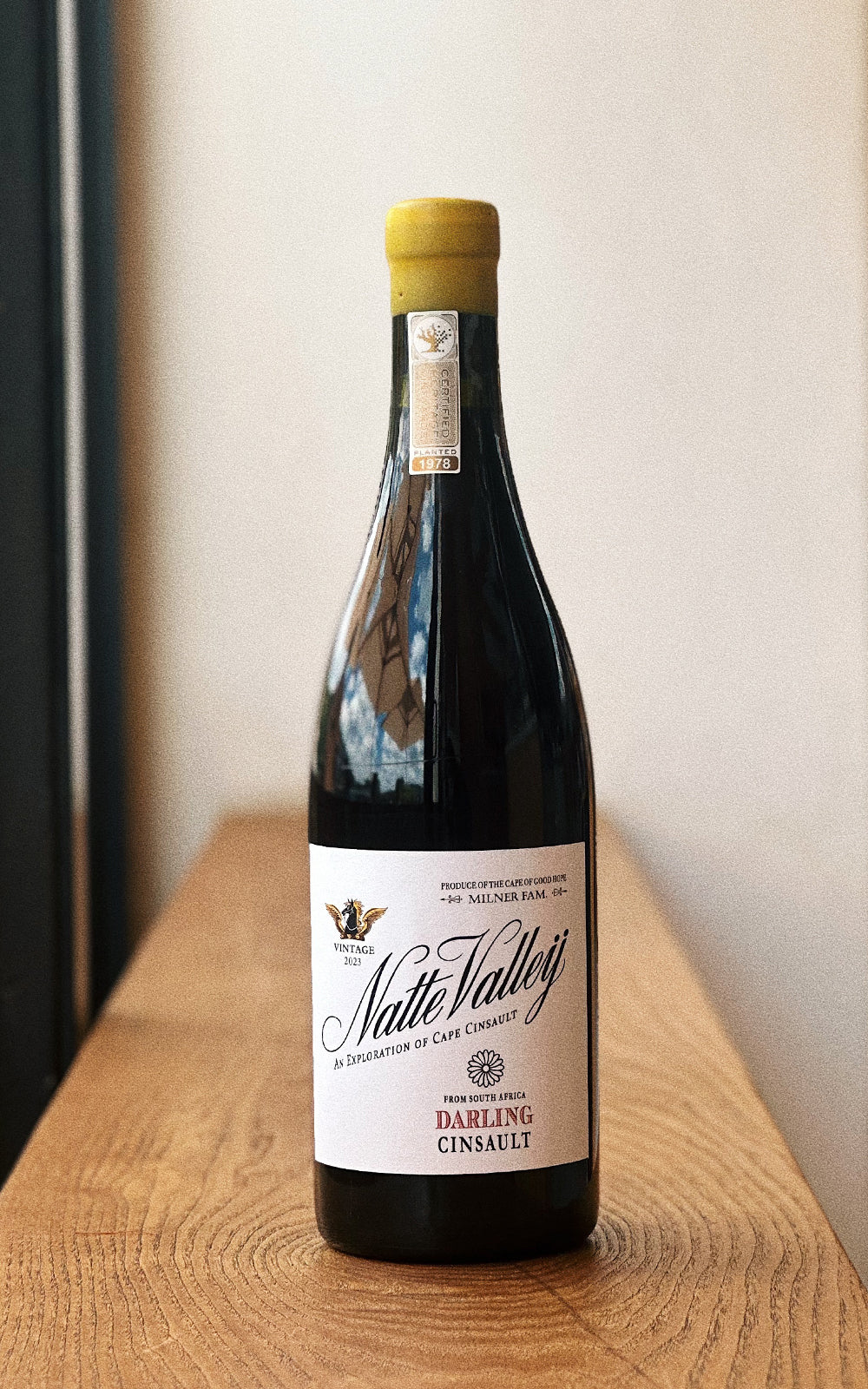 Darling OVP Cinsault '23