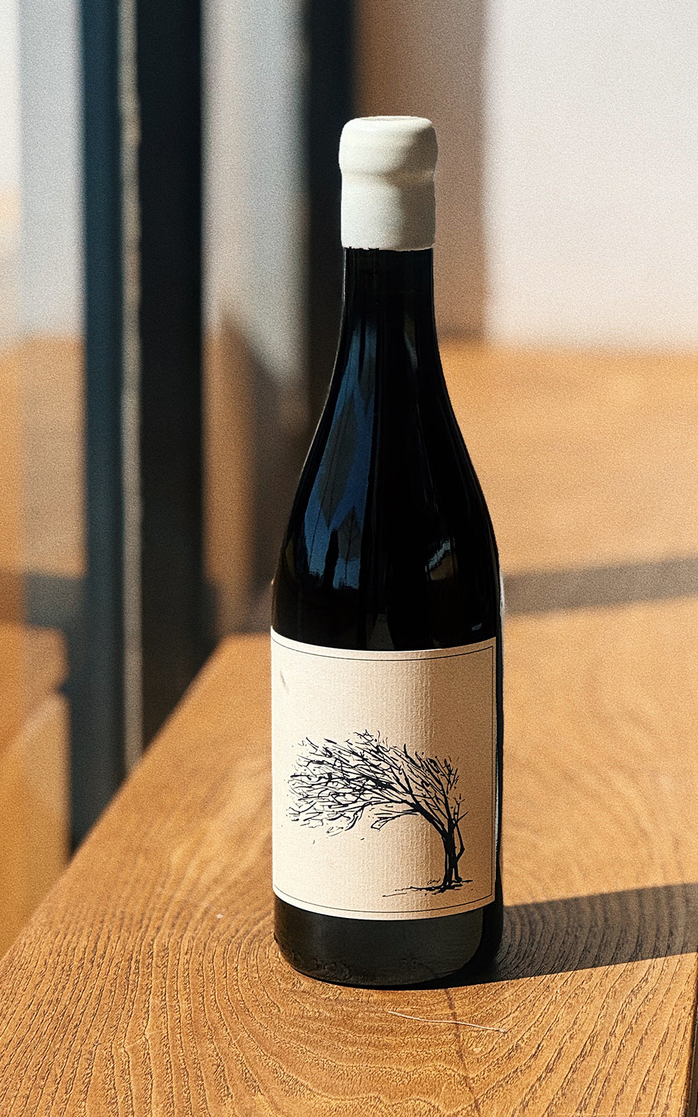 Girl Next Door Syrah '24